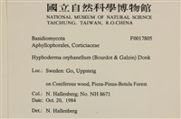 登錄號:F0017805藏品圖，第2張