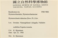 登錄號:F0017806藏品圖，第2張