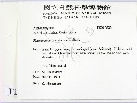 登錄號:F0017808藏品圖，第2張