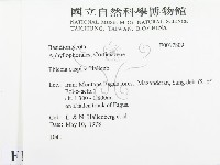 登錄號:F0017809藏品圖，第2張