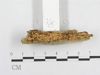 登錄號:F0017809藏品圖，第3張