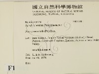 登錄號:F0017811藏品圖，第2張