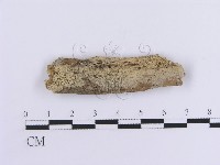 登錄號:F0017812藏品圖，第1張