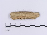 登錄號:F0017812藏品圖，第3張
