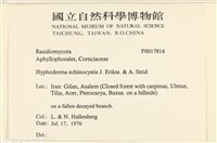 登錄號:F0017814藏品圖，第2張