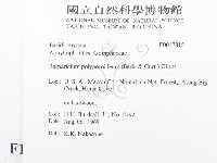 登錄號:F0017815藏品圖，第2張
