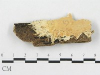 登錄號:F0017815藏品圖，第1張