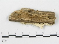 登錄號:F0017815藏品圖，第3張