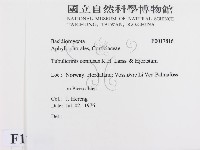 登錄號:F0017816藏品圖，第2張
