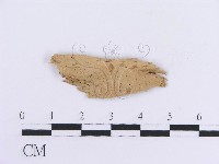 登錄號:F0017816藏品圖，第1張
