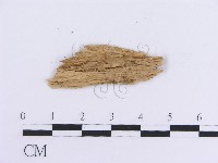 登錄號:F0017816藏品圖，第3張