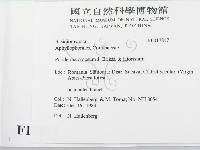 登錄號:F0017817藏品圖，第2張