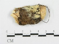 登錄號:F0017817藏品圖，第1張