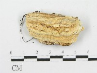 登錄號:F0017817藏品圖，第3張