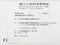 登錄號:F0017818藏品圖，第2張