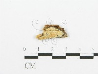 登錄號:F0017818藏品圖，第1張
