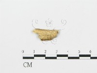 登錄號:F0017818藏品圖，第3張