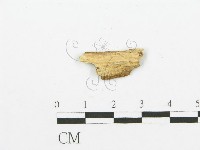 登錄號:F0017818藏品圖，第4張