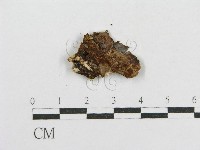 登錄號:F0017819藏品圖，第3張