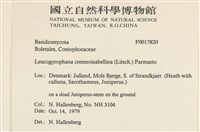 登錄號:F0017820藏品圖，第2張