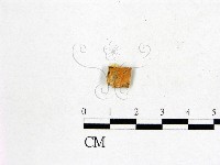 登錄號:F0017821藏品圖，第1張