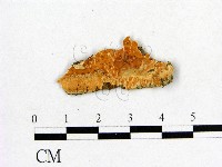 登錄號:F0017822藏品圖，第1張