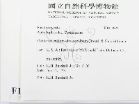 登錄號:F0017823藏品圖，第2張
