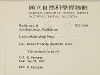登錄號:F0017824藏品圖，第2張