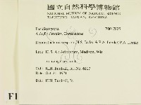 登錄號:F0017825藏品圖，第2張