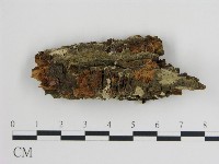 登錄號:F0017825藏品圖，第1張