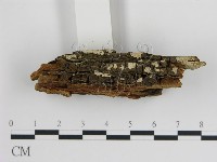 登錄號:F0017825藏品圖，第3張