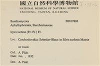 登錄號:F0017826藏品圖，第2張