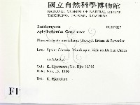 登錄號:F0017827藏品圖，第2張