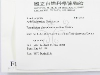 登錄號:F0017828藏品圖，第2張