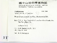 登錄號:F0017830藏品圖，第2張