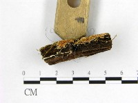 登錄號:F0017830藏品圖，第1張
