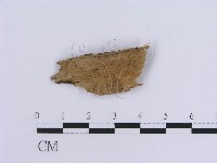登錄號:F0017831藏品圖，第3張