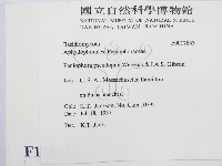 登錄號:F0017833藏品圖，第2張