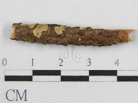 登錄號:F0017833藏品圖，第1張