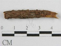 登錄號:F0017833藏品圖，第3張
