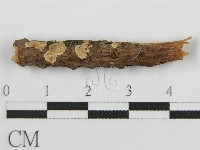 登錄號:F0017833藏品圖，第4張