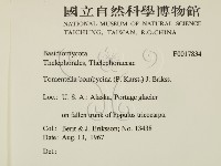 登錄號:F0017834藏品圖，第2張