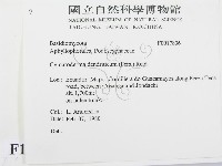 登錄號:F0017836藏品圖，第2張