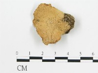 登錄號:F0017836藏品圖，第3張