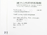 登錄號:F0017837藏品圖，第2張