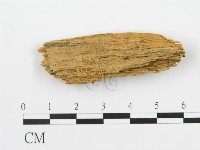 登錄號:F0017837藏品圖，第3張