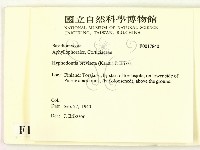 登錄號:F0017840藏品圖，第2張