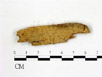 登錄號:F0017840藏品圖，第1張