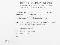 登錄號:F0017841藏品圖，第2張