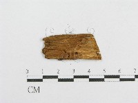 登錄號:F0017841藏品圖，第1張